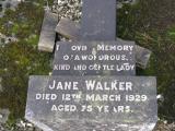 image of grave number 855919